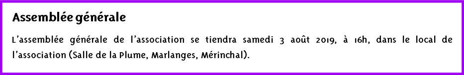 img13 img13