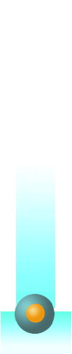 img5 img5