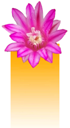 img3 img3