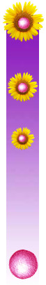 2022-04-28_125816 2022-04-28_125816