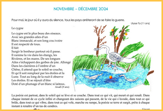 Traces novembre-décembre 2024