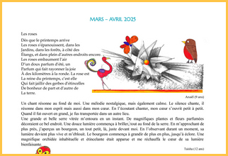 Textes mars-avril 2025